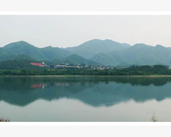 冬日御寒良方大揭秘：中医科普指南